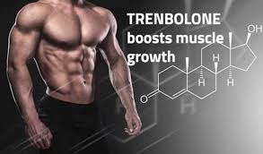 Trenbolone Acetate benifit